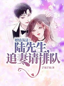 婚情荡漾:陆先生,追妻请排队