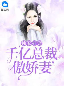 独家狂宠:千亿总裁傲娇妻苏慕元稹