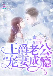 王爵老公,宠妻成瘾