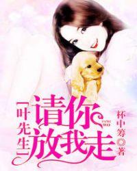 叶先生,请你放我走