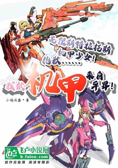 IS少女:抱歉…我的机甲来自异界!