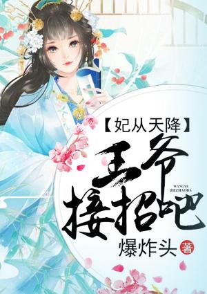 妃从天降,王爷接招吧