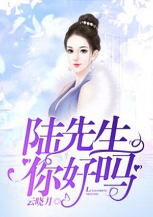 陆先生,你好吗
