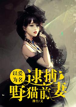 以爱为名:逮捕野猫逃妻