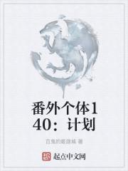 番外个体140:计划