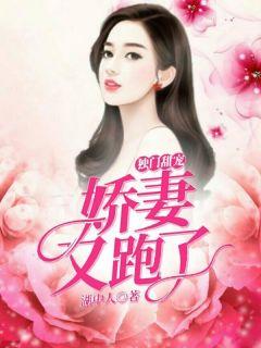 独门甜宠:娇妻又跑了