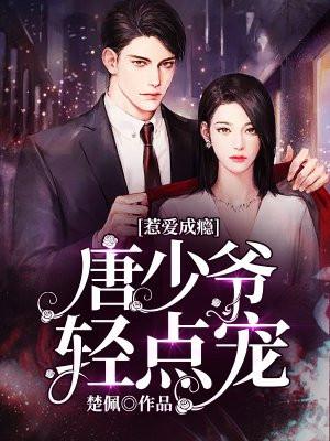 惹爱成瘾:唐少爷轻点宠
