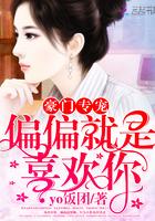 豪门专宠:偏偏就是喜欢你