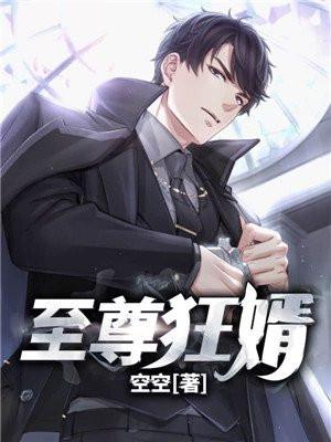 至尊狂婿