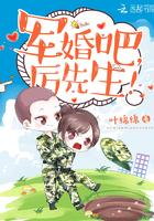 亲爱的,厉先生!