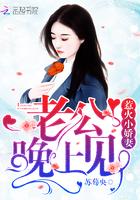 你好,盛先生