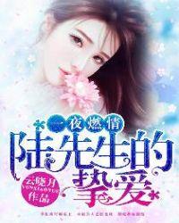 一夜燃情:陆先生的挚爱