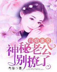 闪婚蜜爱:神秘老公别撩了