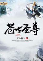 溺爱成瘾:温先生的宠妻日常 宋安颜温庭钧