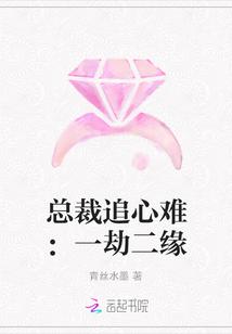 总裁追心难:一劫二缘