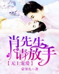 无上宠爱:肖先生,请放手