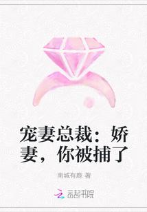 宠妻总裁:娇妻,你被捕了