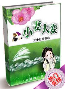 小妻大妾