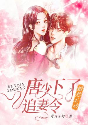 婚然心动:唐少下了追妻令