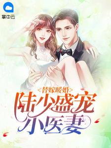 替嫁暖婚:陆少盛宠小医妻季月陆绎宸
