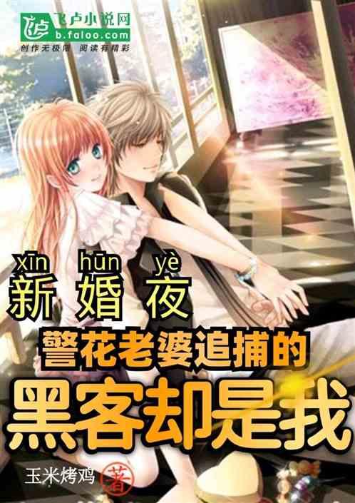 新婚夜,警察老婆追捕的黑客是我