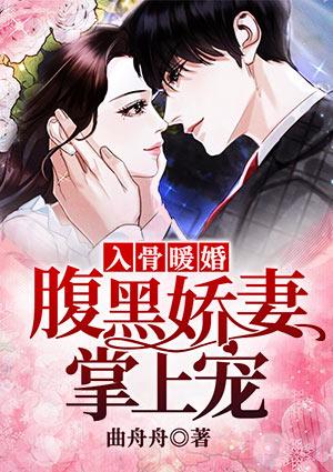 入骨暖婚:腹黑娇妻掌上宠