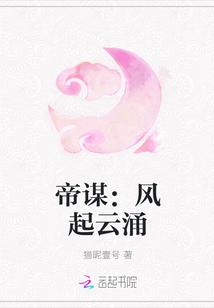 帝谋:风起云涌