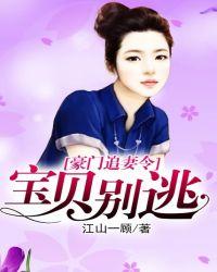 豪门追妻令:宝贝别逃