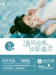 清风徐来,汐影盛开