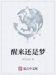 醒来还是梦