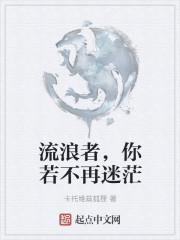 流浪者,你若不再迷茫