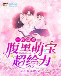 一夜惊喜:腹黑萌宝超给力