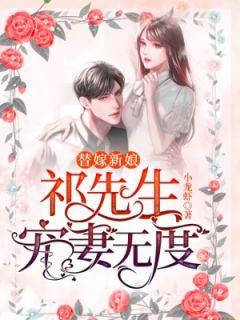 替嫁新娘:祁先生宠妻无度
