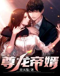 尊龙帝婿