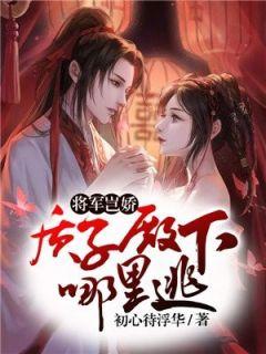 将军岂娇:质子殿下哪里逃沈央洛君夜阑