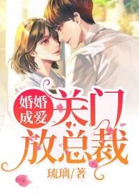 婚婚成爱:关门,放总裁白梦沁陆莫宸