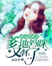 盛宠隐婚妻:爹地,妈咪又怀了