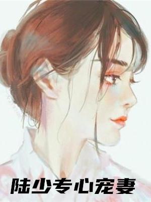 沐浅月陆泽渊