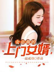 女总裁的上门女婿(又名:王婿)