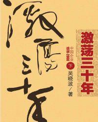 激荡三十年(下)(吴晓波)