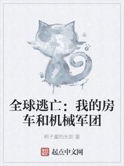 全球逃亡:我的房车和机械军团