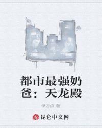 都市最强奶爸:天龙殿