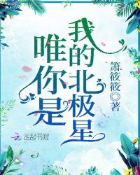念念不忘:萧下星辰
