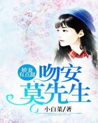 娇妻有点甜:吻安,莫先生