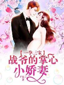 苏安安战霆琛