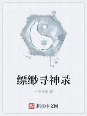 缥缈寻神录