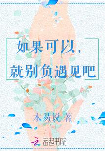 如果可以,就别负遇见吧