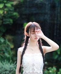 沈烟树魏风洲夏言