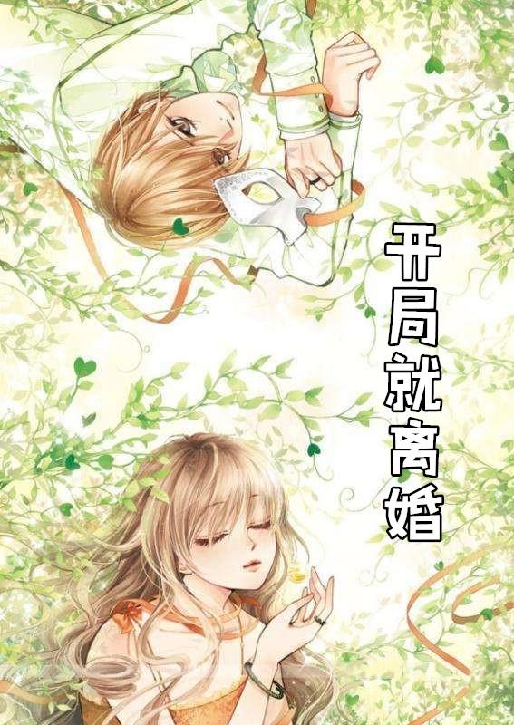 开局就离婚