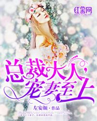 总裁大人,宠妻至上